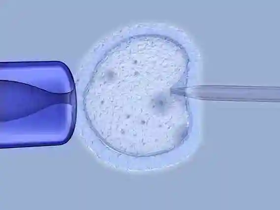 嘉兴当多元家庭拥抱新生命：解锁 “彩虹生子” 的温暖密码