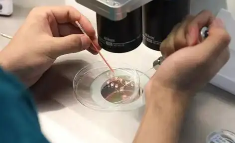 嘉兴打破偏见的生命礼赞：同性生子背后的爱与坚守